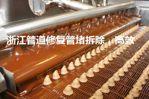 浙江管道修复管堵拆除，高效安全，质量杰出